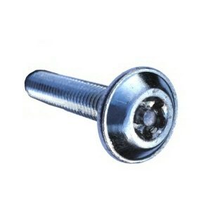 5 Lobe Security Screw